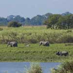 Kaziranga National Park (1985)