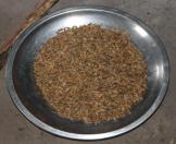 Khor (Rice beer of Tankhul)