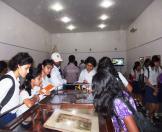 7 - Schoolchildren at Cornwallis Harris exhibition-29 April 2014