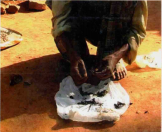 Alu Kurumbas