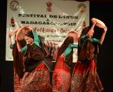 Dance performance by Gujarati Folk dance group