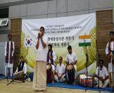 Festival of India in Korea - 07
