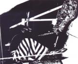 Chamadyacha Bahulya -Shadow Puppet Theatre Traditions of India