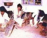 Chamadyacha Bahulya -Shadow Puppet Theatre Traditions of India
