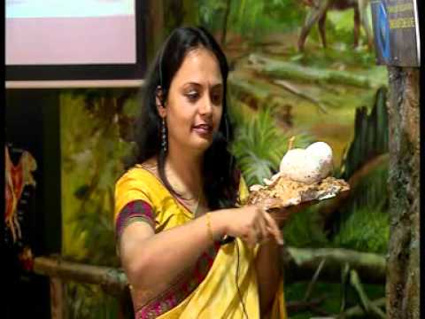 Story Telling in Dinosaur enclave at VITM Bangalore